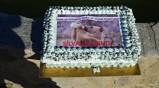 Doğum günün kutlu olsun Silva !