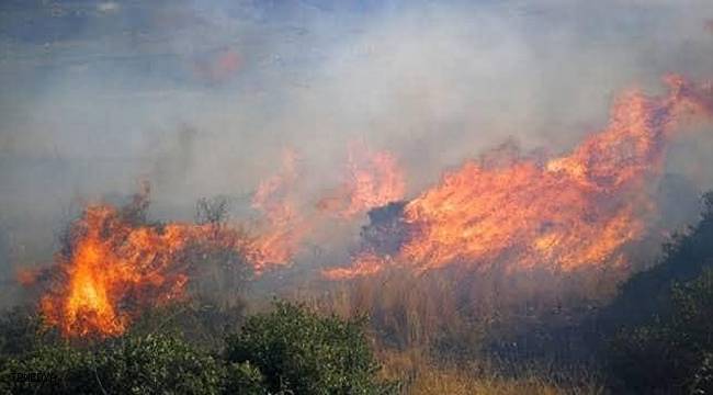 İznik Gölünde korkutan yangın: 60 dönüm arazi kül oldu