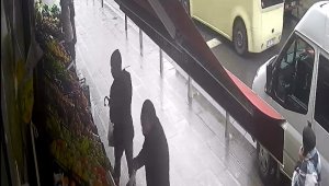 Kestane hırsızları kamerada