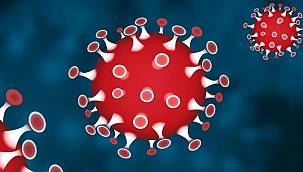 Koronavirüs salgınında vaka sayısı 55 bin 791'e ulaştı