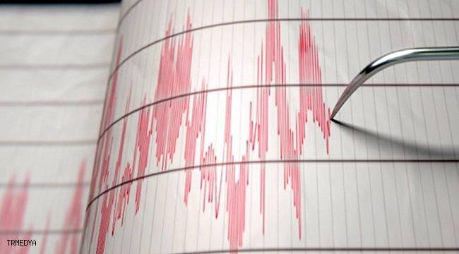 ABD'nin Alaska eyaletinde 8.2 büyüklüğünde deprem
