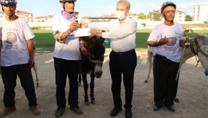 En hızlı ve en güzel gözlü eşek yarışları yapıldı