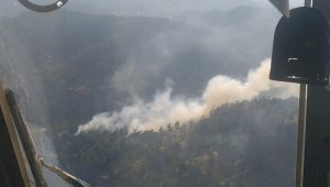 Kahramanmaraş'ta orman yangını