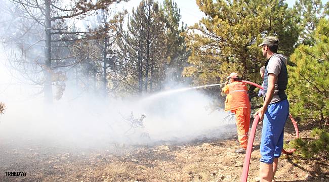 Karaman'da orman yangını çıktı