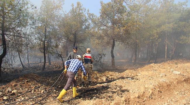 Kilis'te kontrol altına alınan orman yangını yeniden alevlendi