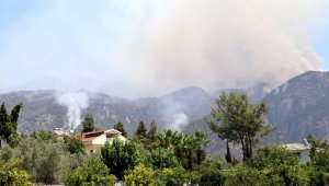 Köyceğiz'deki orman yangını devam ediyor