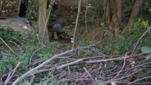 Malatya'da dere yatağında erkek cesedi bulundu