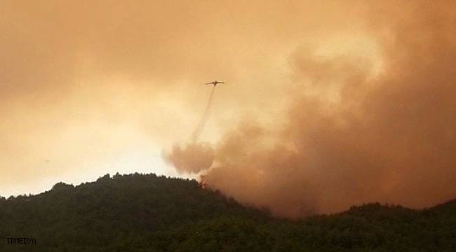 Osmaniye'de çıkan orman yangını devam ediyor
