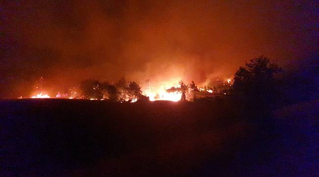 Osmaniye'deki orman yangınına karadan müdahale devam ediyor