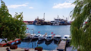 Salyanın ilk ortaya çıktığı şehre bir haftadır müsilaj uğramıyor