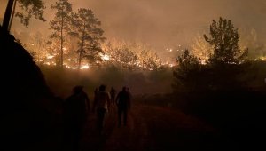 Yalan terörü sosyal medyada