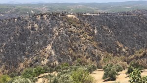 Adana'da 4 bin 150 hektar orman alanı zarar gördü