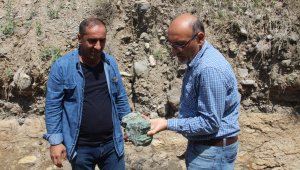 Erzurum'da 160 milyon yıllık keşif