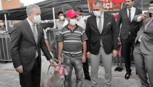 MHP yangın bölgesinde küçük ve büyükbaş hayvan dağıttı