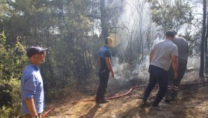 Sarayköy'de 1 dönüm ormanlık alan zarar gördü