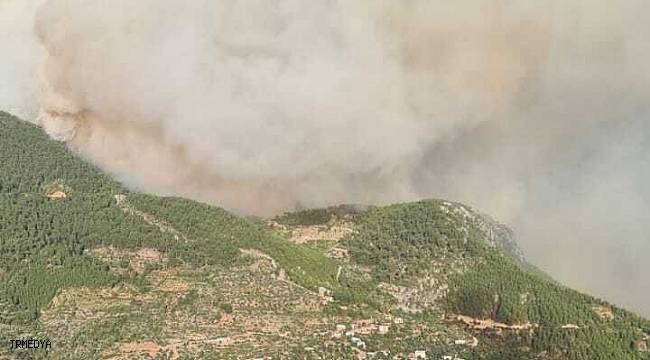 Antalya yangınında 'yangın şeytanı' görüldü
