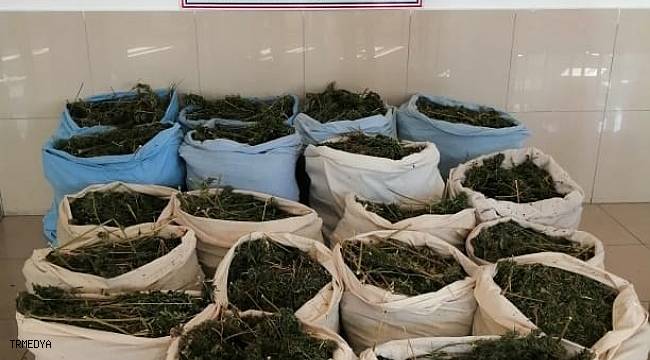 Bingöl'de kırsalda kurumaya bırakılmış 289 kilo kubar esrar ele geçirildi