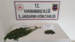 Evinin alt katını kenevir yetiştirmek için kullanan şüpheli yakalandı