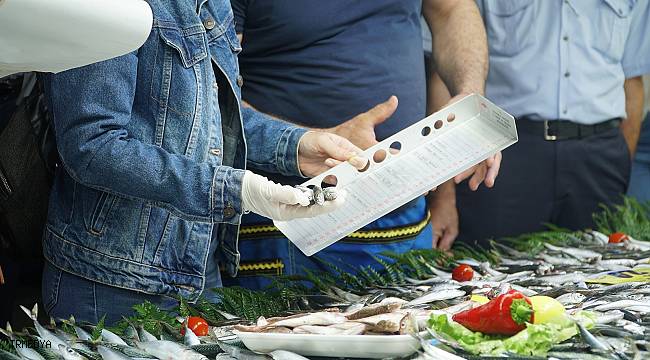 Kağıthane'de semt pazarlarında balık denetimi