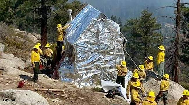 Kaliforniya'da yangına karşı tarihi ağaçlar alüminyum folyo ile sarıldı