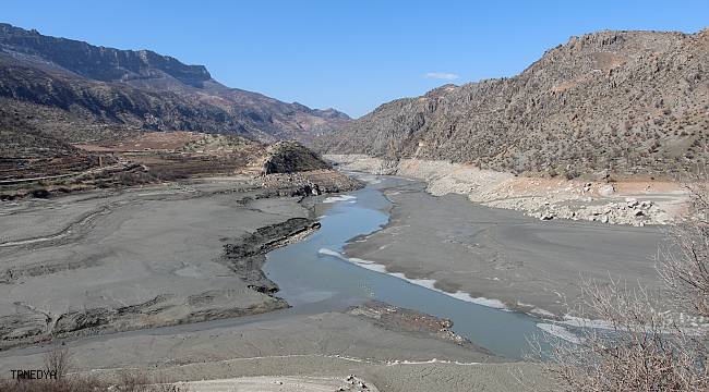 Siirt'te barajlardaki su seviyesi düştü, tahıl ürünlerinde rekolte kaybı yaşandı