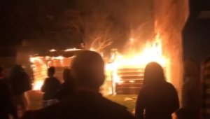 Bursa'da lodosun etkisiyle büyüyen yangın paniğe sebep oldu