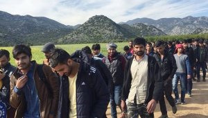 600 Afgan sığınmacıya 'İslami temelli' psikolojik destek verilecek