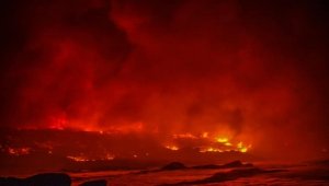 Avustralya orman yangınlarıyla mücadele ediyor