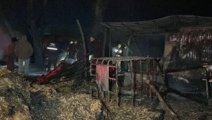Çiftlik alev alev yandı 160 küçükbaş hayvan son anda kurtarıldı