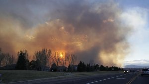 Colorado'da şiddetli yangın: 6 yaralı