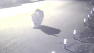 Çuvallı hırsız kameralara yakalandı