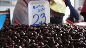 Kestane fiyatları el yakıyor