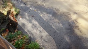 Manavgat yangını, küllerini 5 ay sonra sel sularıyla ırmağa döktü