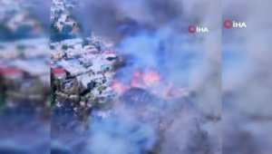 Şili'de orman yangını: 120'den fazla ev küle döndü