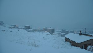 Türkiye'nin doğusu kar altında!