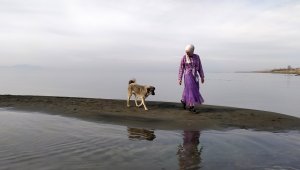 Van Gölü'nde sular çekilince yeni adacıklar oluştu