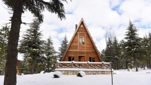 Yalnız Ardıç Mesire Alanında kartpostallık görüntüler oluştu