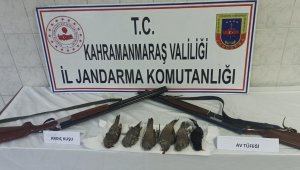 Avlanması yasak olan ardıç kuşunu vuranlara ceza yağdı