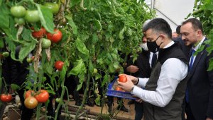 Bakan Kurum: "2-3 ay içinde evler etap etap teslim edilecek"