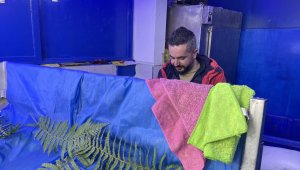 Freni boşalan otomobil park halindeki araçlara çarptı, 1 çocuk ezilmekten kurtuldu