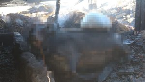 Kırklareli'nde ağılda çıkan yangında 156 hayvan telef oldu
