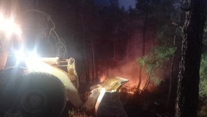 Muğla'da kış ortasında orman yangını