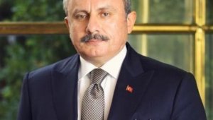 TBMM Başkanı Şentop HDP'li milletvekilinin teröristle fotoğrafını değerlendirdi