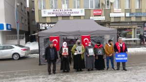 2 teröristin PKK'dan kaçarak teslim olması Muşlu anneleri sevindirdi