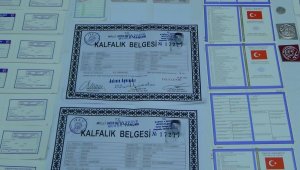Mali Şube'den "sahtecilik" operasyonu