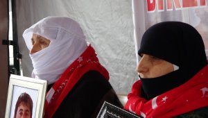 Muş'ta evlat nöbeti tutan ailelerin sayısı 27'ye yükseldi