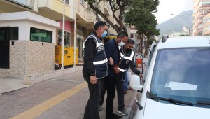 Muz ve avokado hırsızları yakalandı