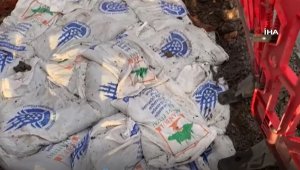 İBB Beşiktaş'taki çınar ağaçlarını reklam için kestiği iddiası