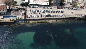 Mudanya'da deniz çekildi acı hatıralar canlandı