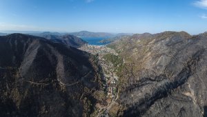 Yılın Basın Fotoğrafları yarışmasında İHA'ya 6 ödül birden